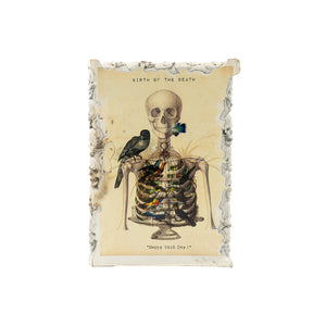 BIRTH OF THE DEAD