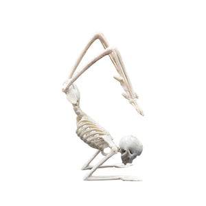 YOGI BARE - SCORPION POSE