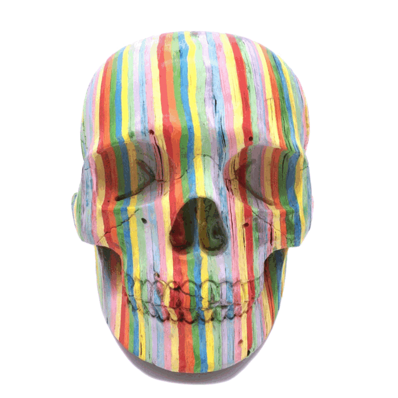 A4 ANATOMY