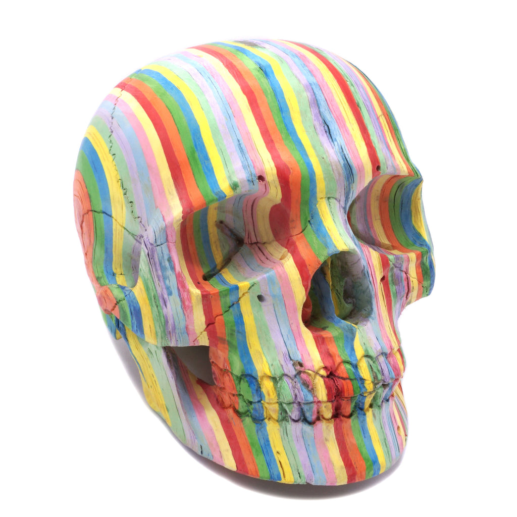 A4 ANATOMY