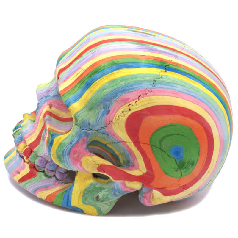 A4 ANATOMY
