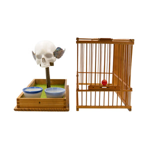 CAGED