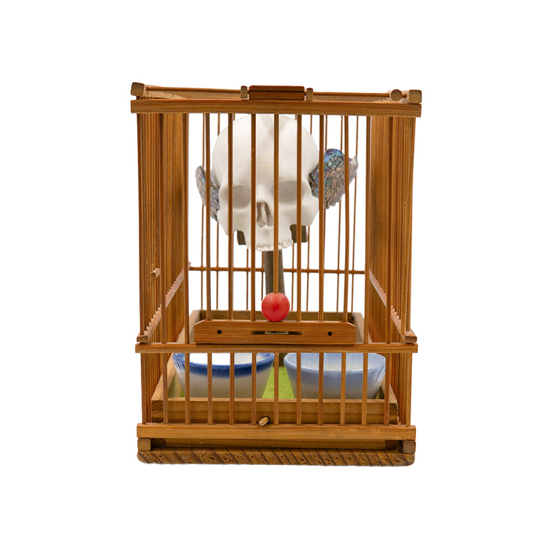 CAGED