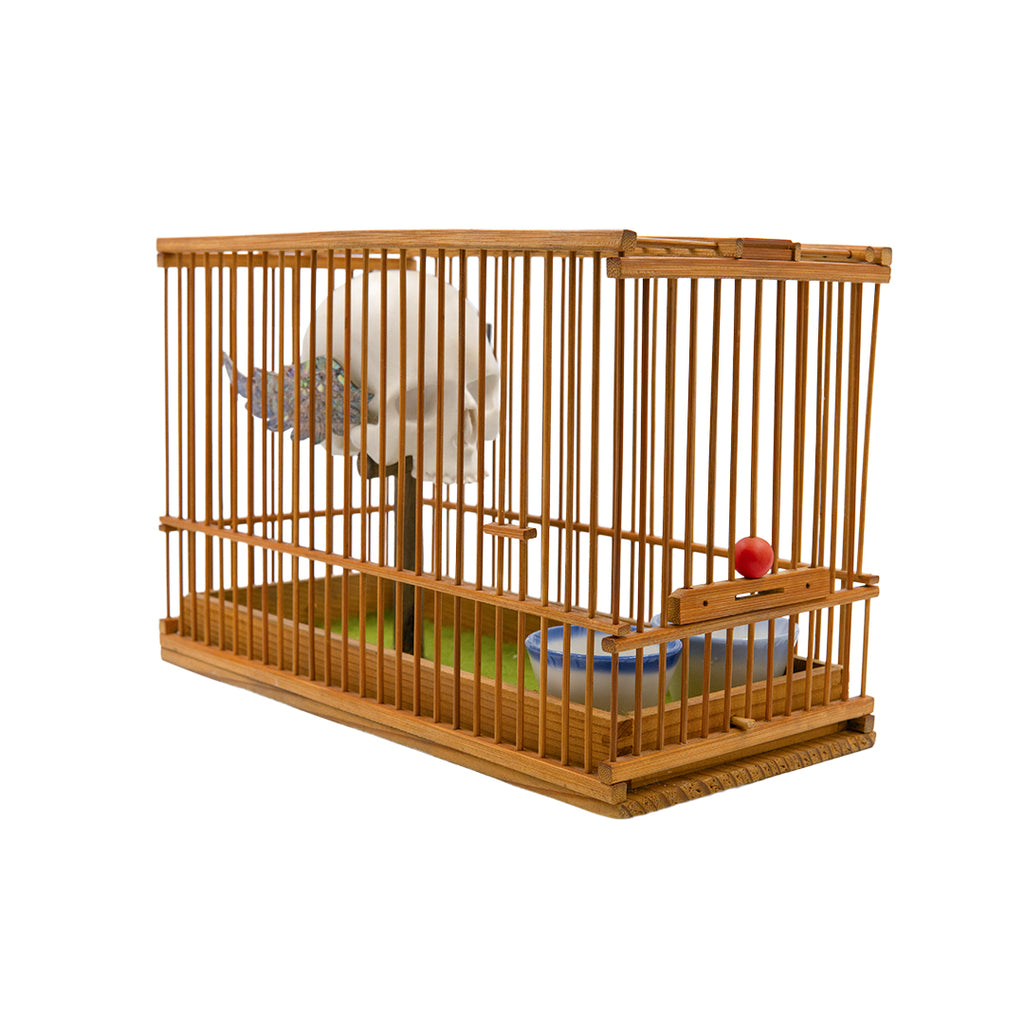 CAGED