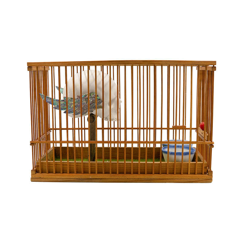 CAGED