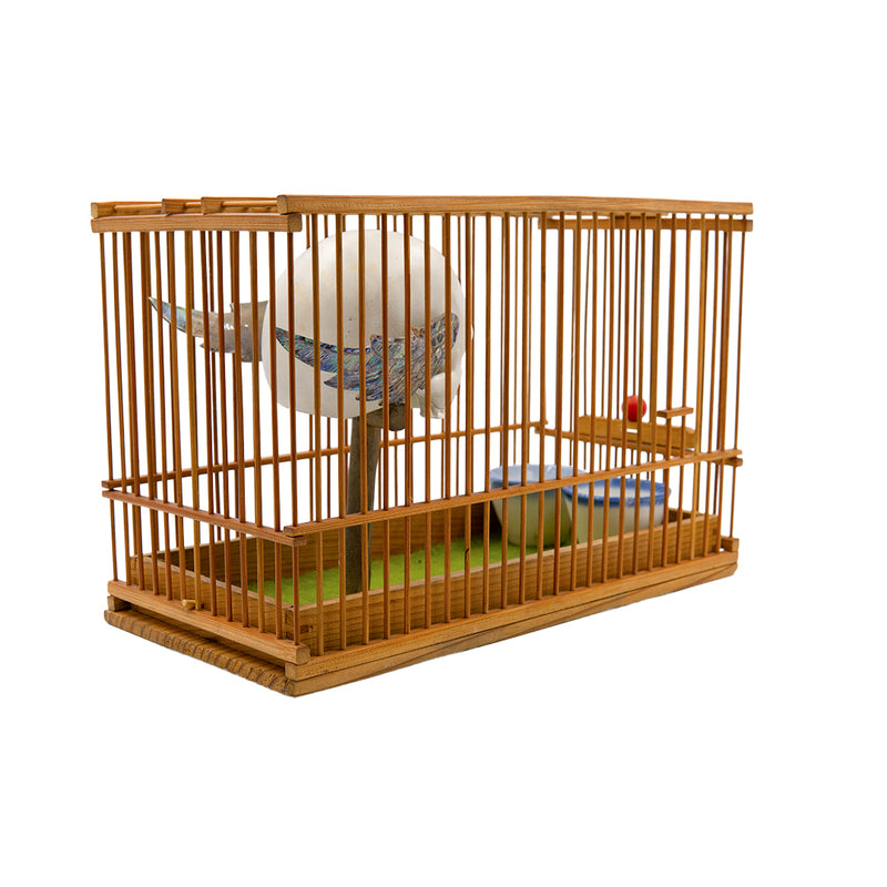 CAGED