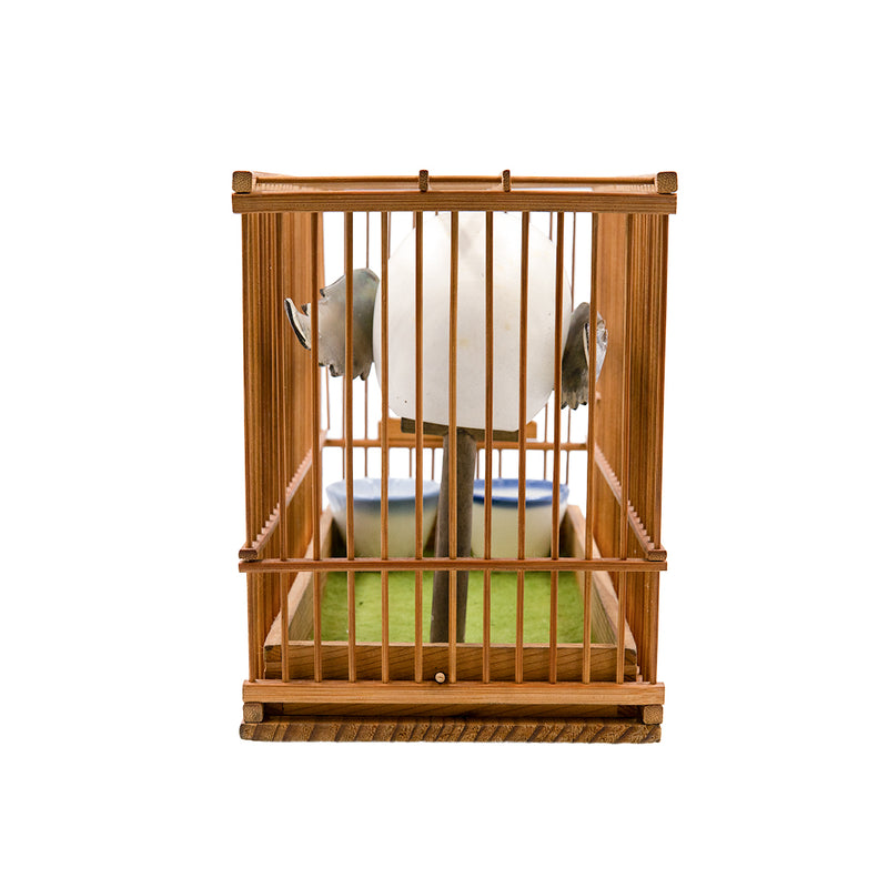 CAGED