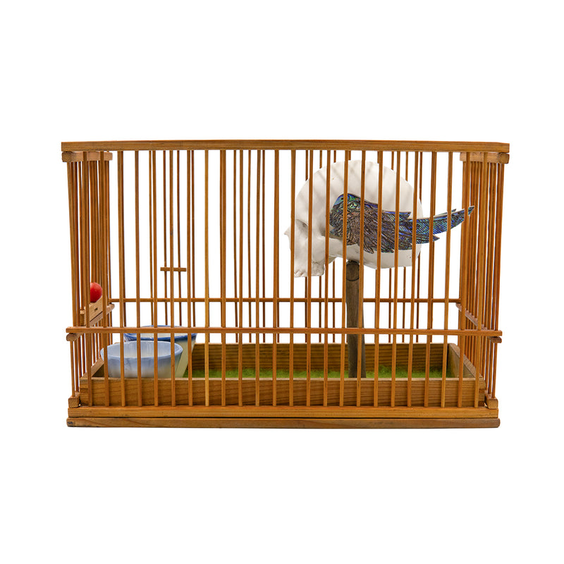 CAGED