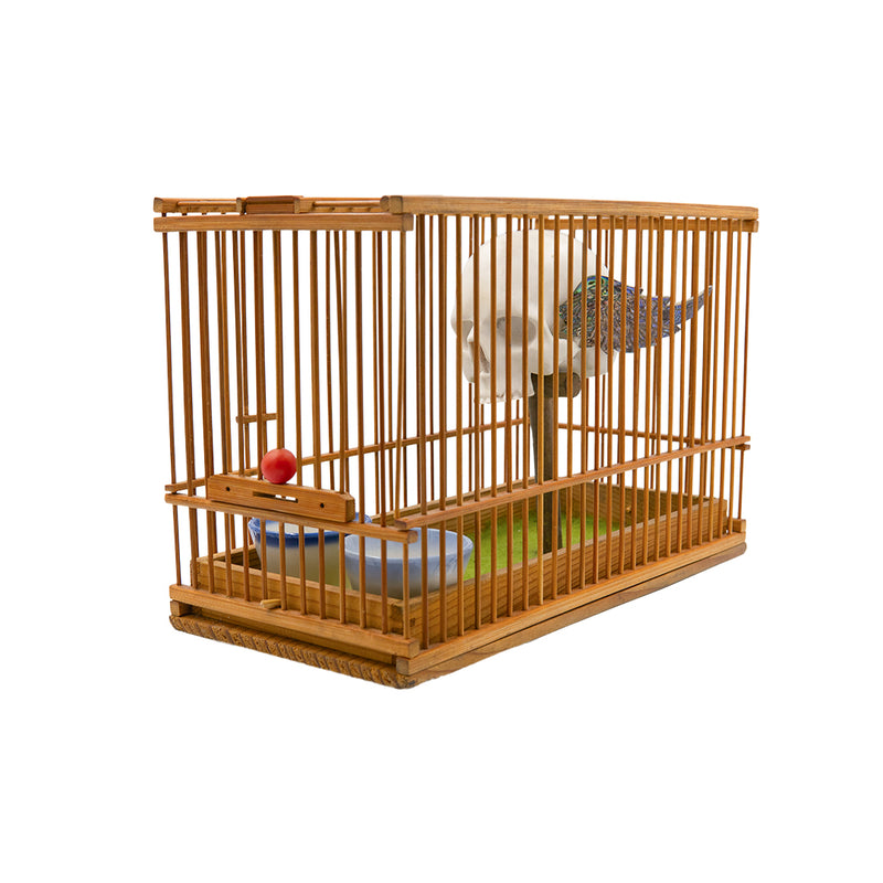 CAGED