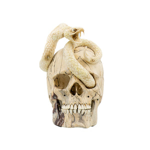 SNAKE SKULL
