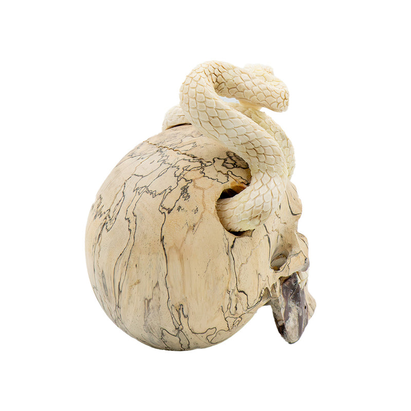 SNAKE SKULL