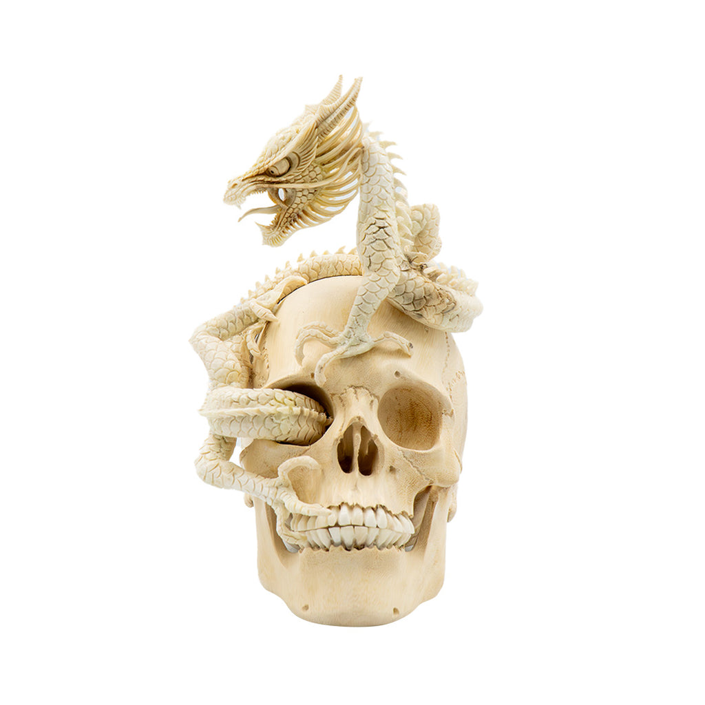 DRAGON SKULL
