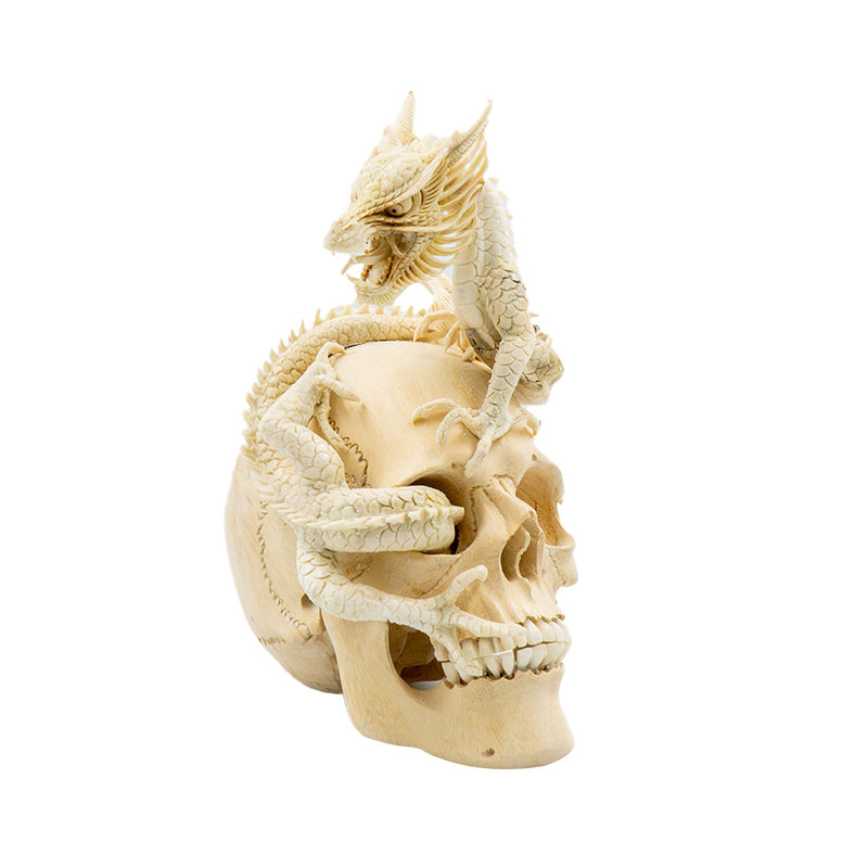 DRAGON SKULL