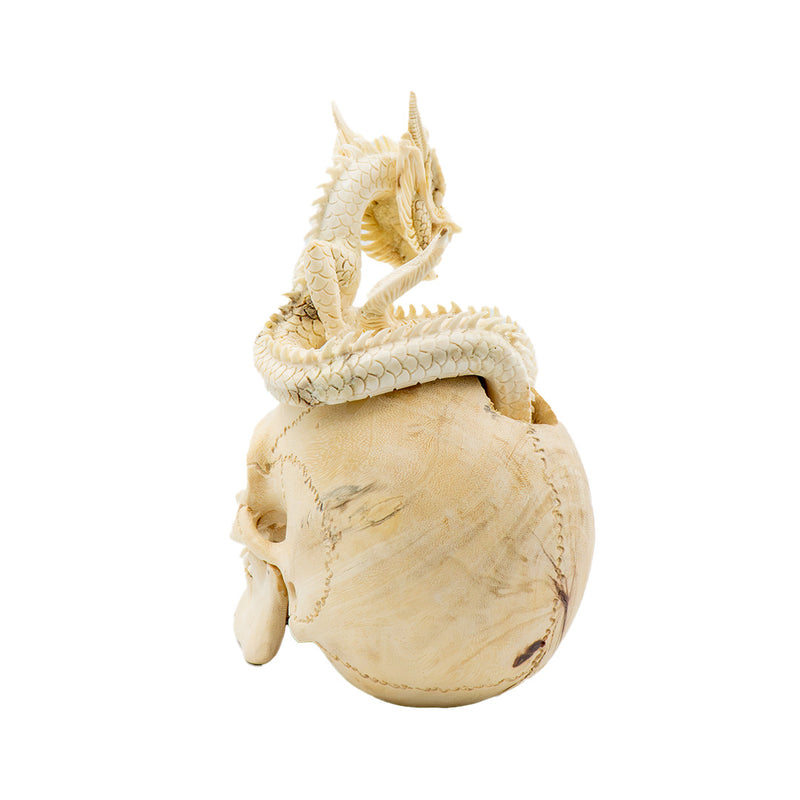 DRAGON SKULL