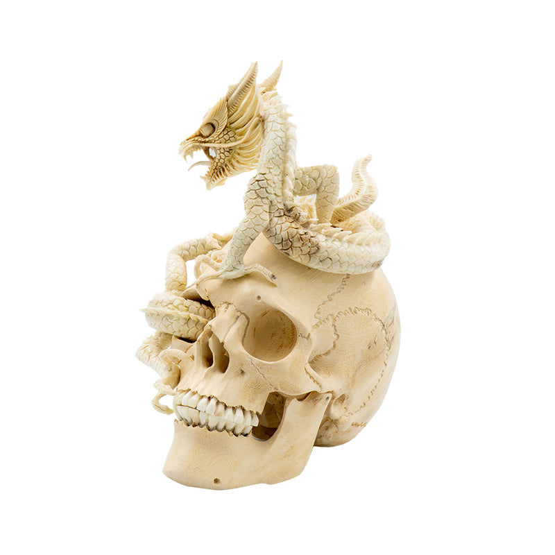 DRAGON SKULL