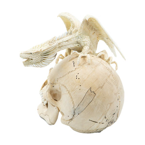 WINGED DRAGON SKULL