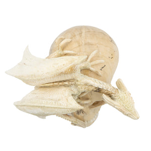 WINGED DRAGON SKULL