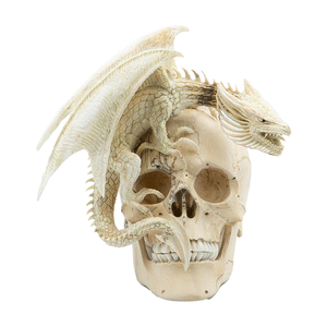 WINGED DRAGON SKULL