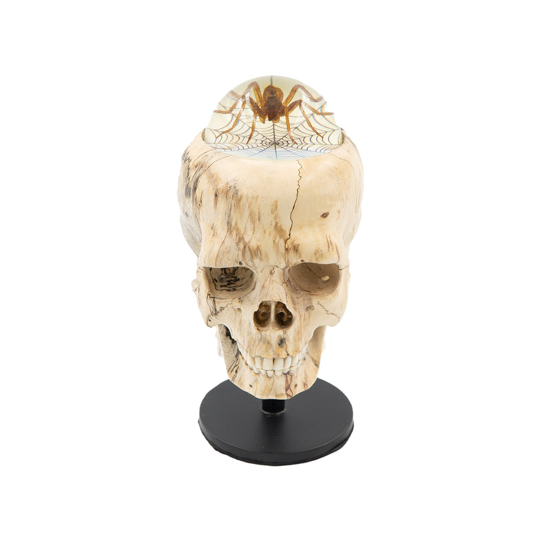 SILKEN MOMENT – Skull-Bali