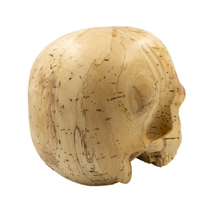 BRAIN WAVE