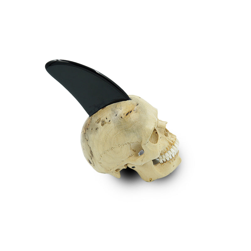 OBSIDIAN FIN