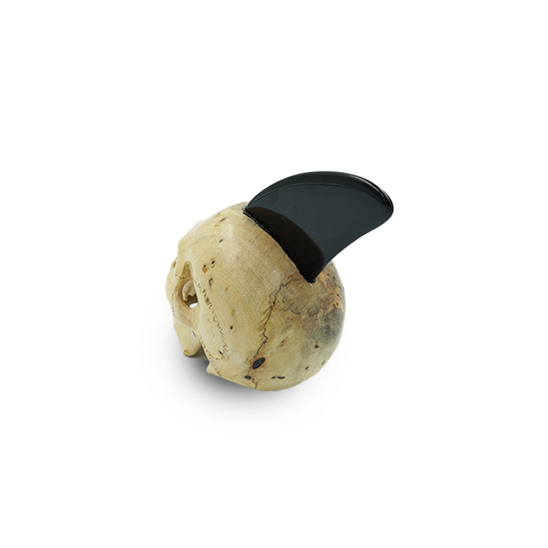 OBSIDIAN FIN