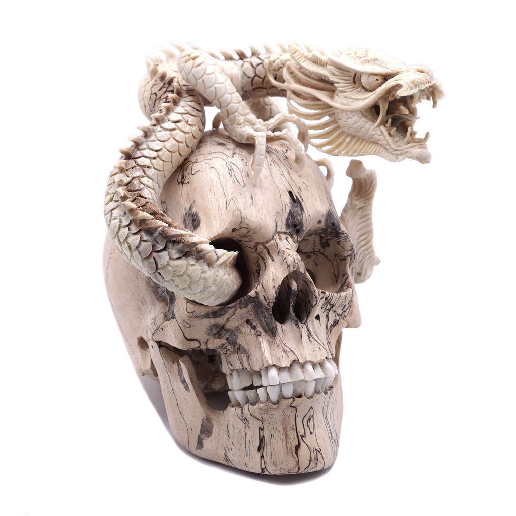 DRAGON SKULL