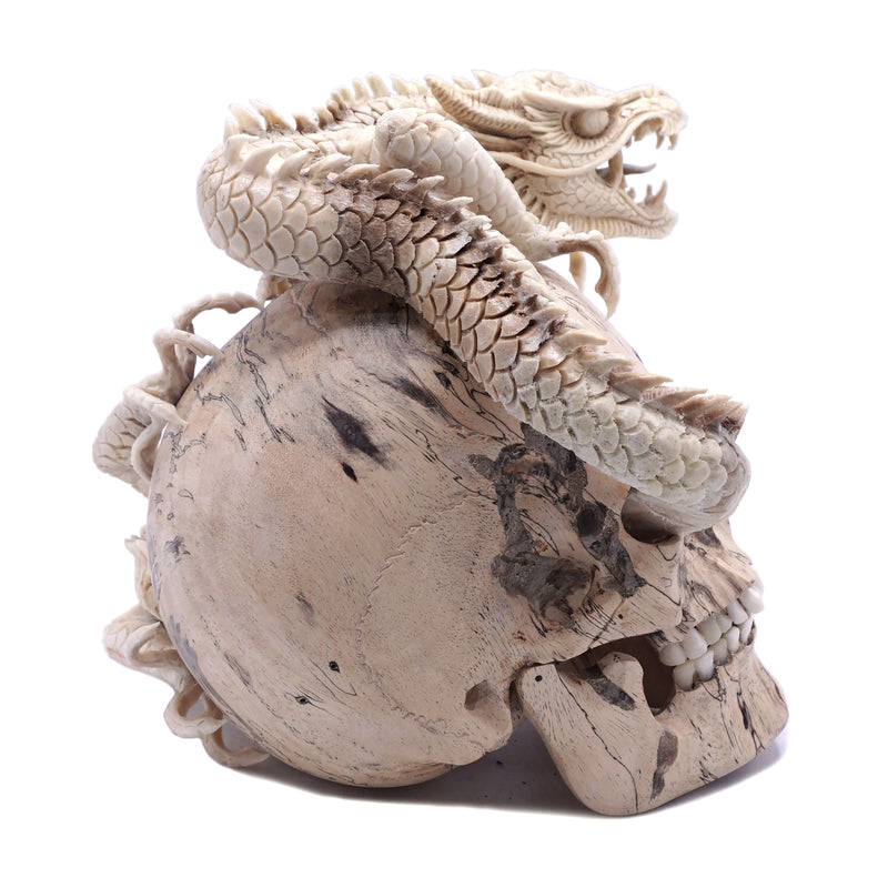 DRAGON SKULL