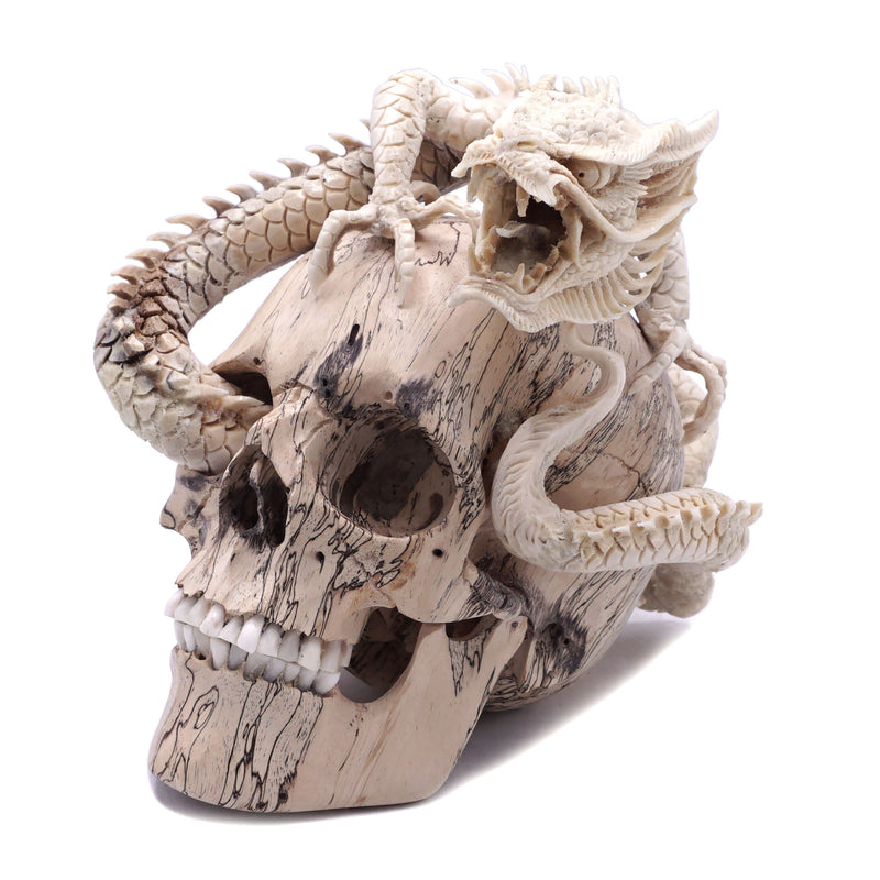 DRAGON SKULL