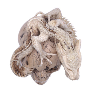 DRAGON SKULL