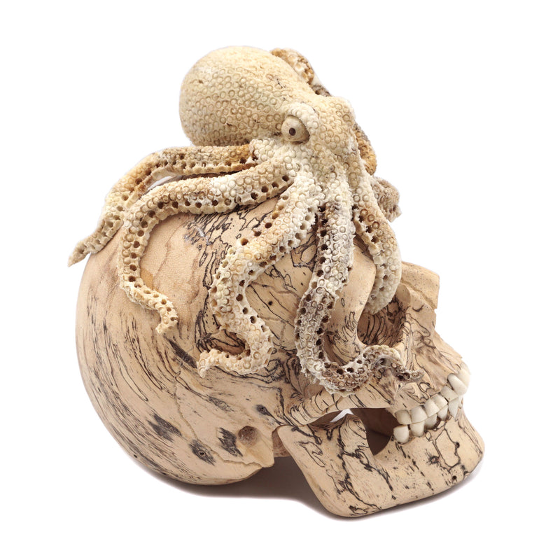 OCTOPUS SKULL