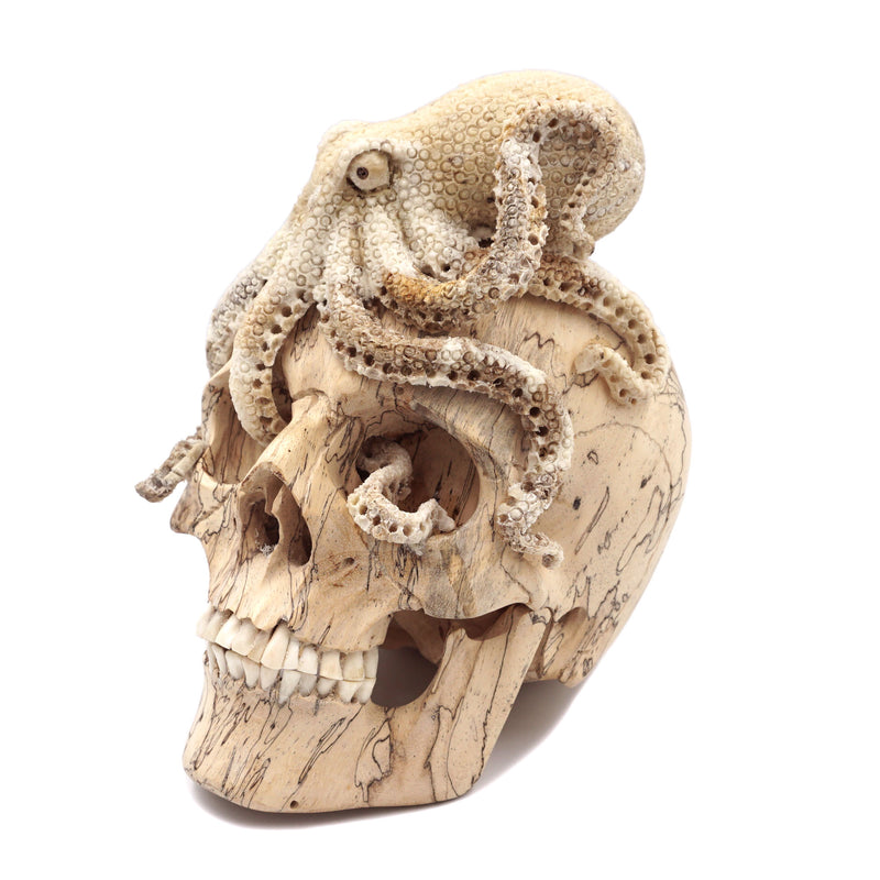 OCTOPUS SKULL