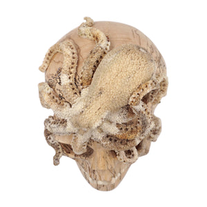 OCTOPUS SKULL