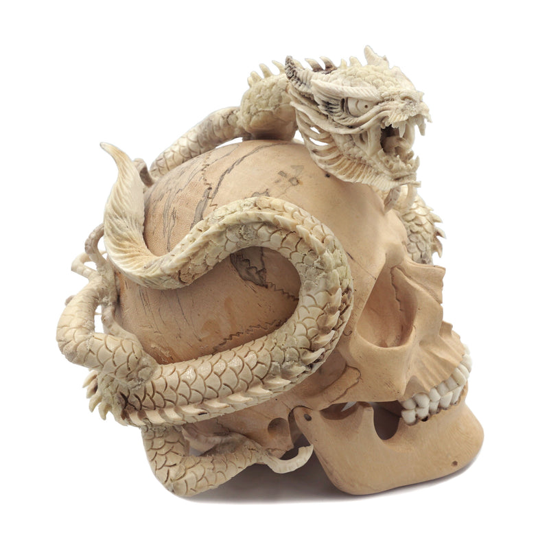 DRAGON SKULL