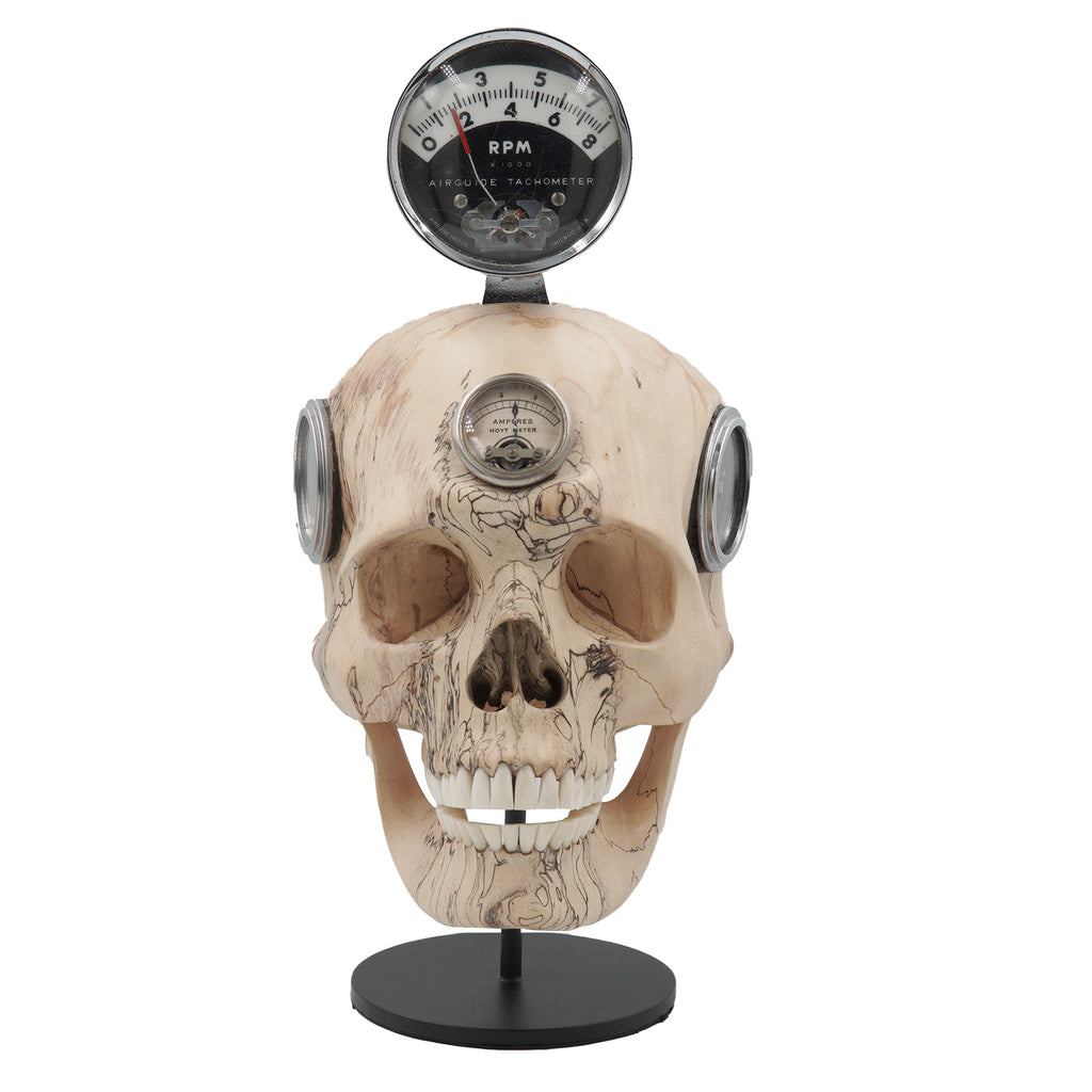 REV HEAD
