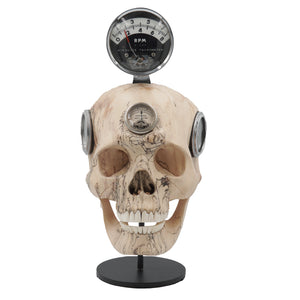 REV HEAD