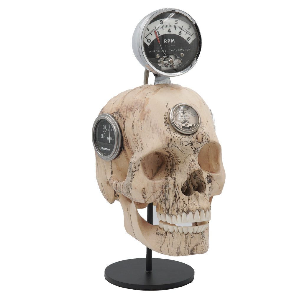 REV HEAD