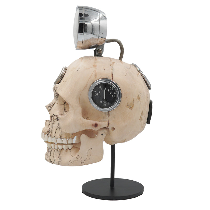 REV HEAD