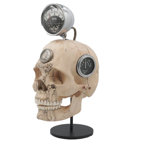 REV HEAD