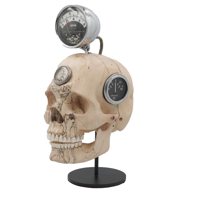 REV HEAD