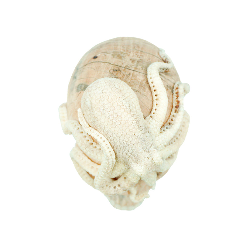 OCTOPUS SKULL