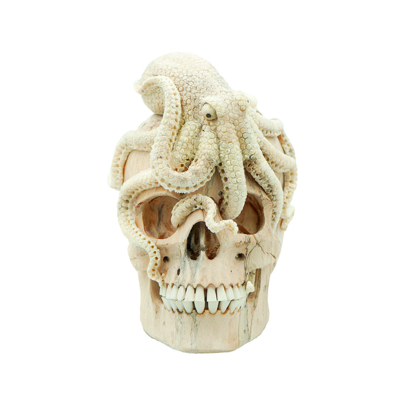 OCTOPUS SKULL