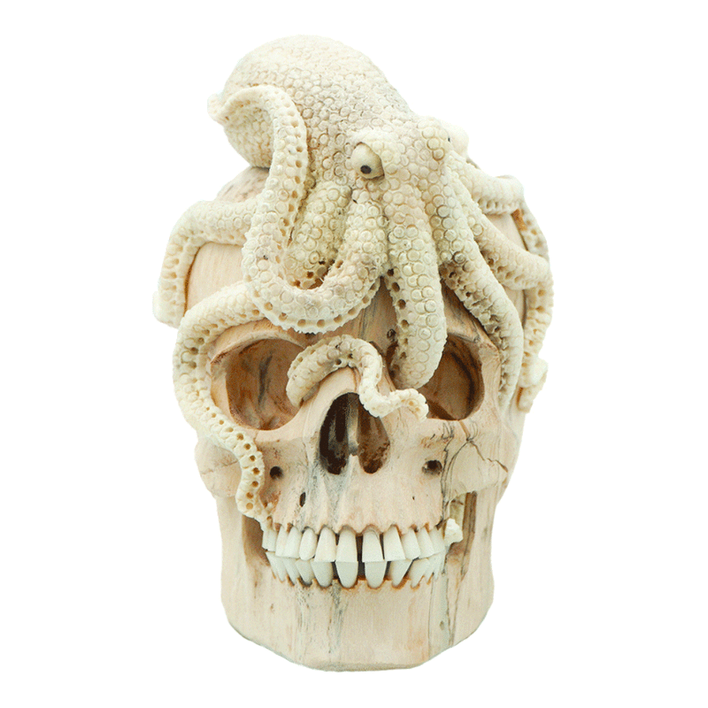 OCTOPUS SKULL