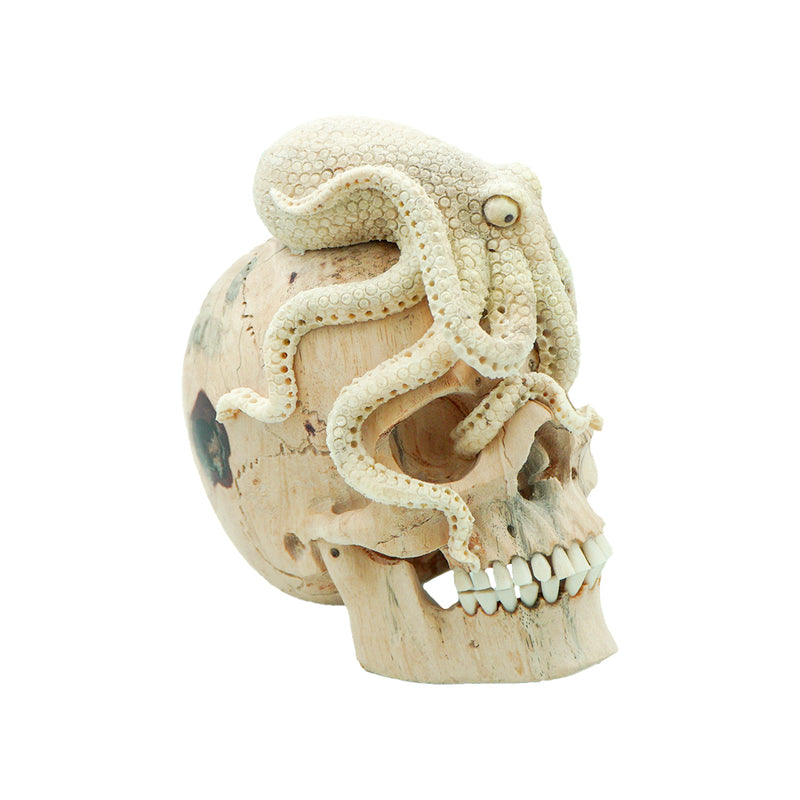 OCTOPUS SKULL