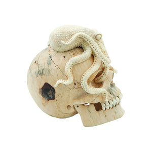 OCTOPUS SKULL