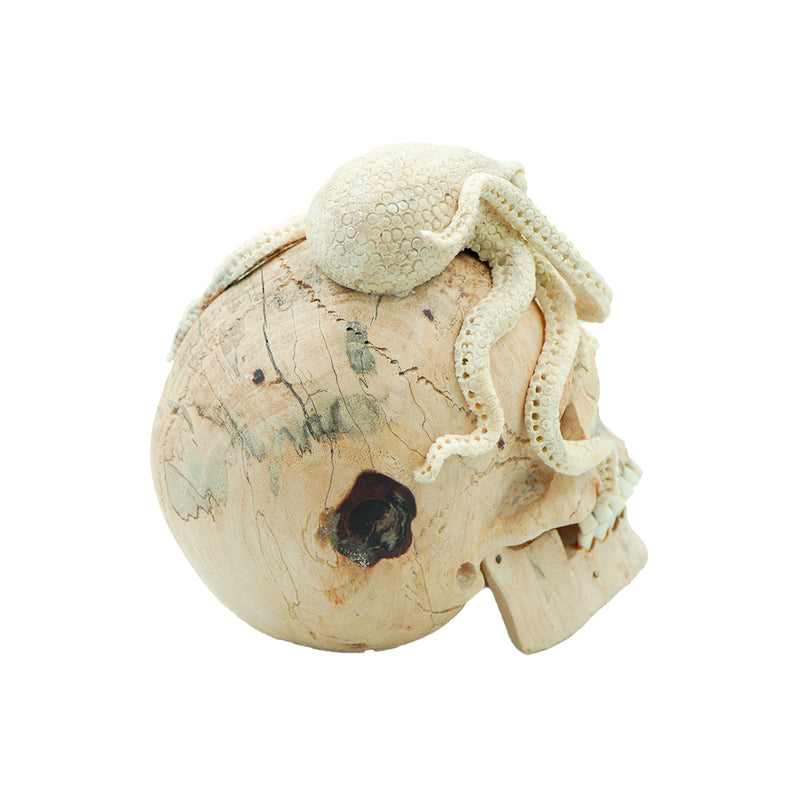 OCTOPUS SKULL