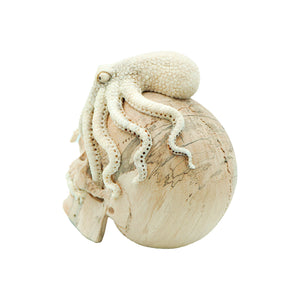 OCTOPUS SKULL