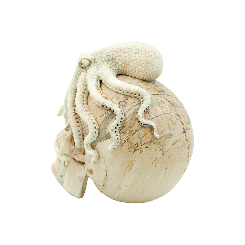 OCTOPUS SKULL