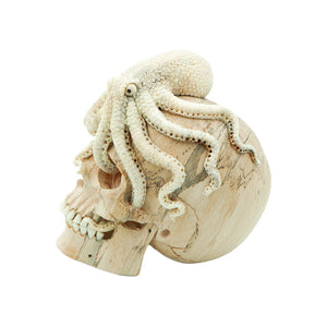 OCTOPUS SKULL