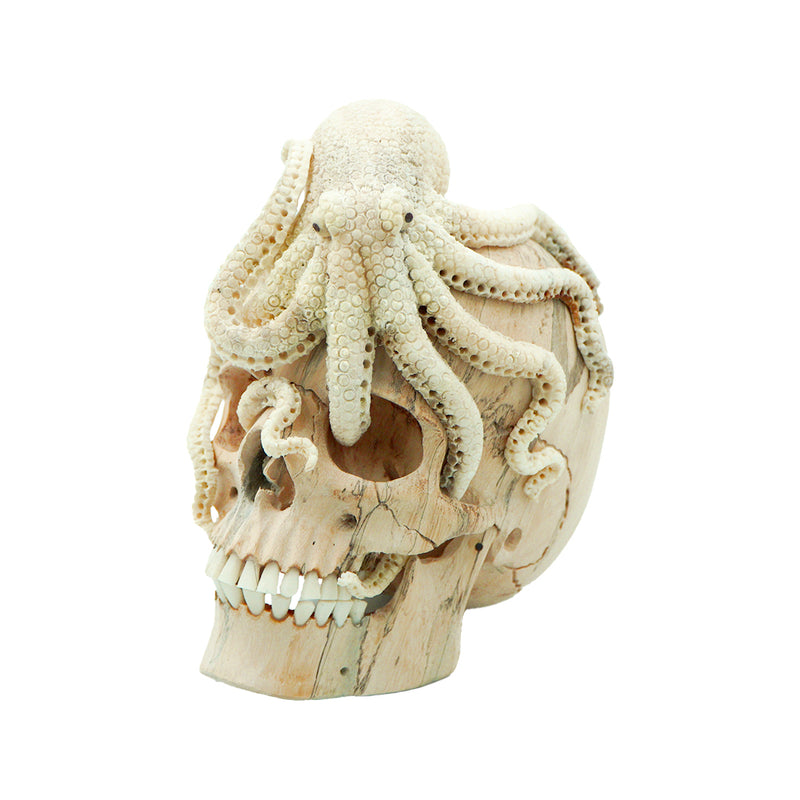 OCTOPUS SKULL